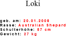Loki geb. am: 20.01.2008 Rasse: Australian Shepard Schulterhöhe: 57 cm Gewicht: 27 kg