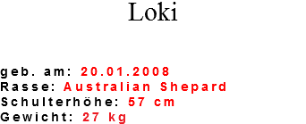Loki geb. am: 20.01.2008 Rasse: Australian Shepard Schulterhöhe: 57 cm Gewicht: 27 kg